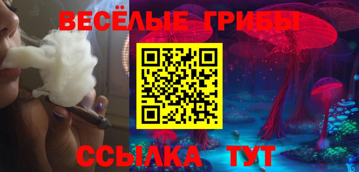 Галлюциногенные грибы прущие грибы  Вход с VPN  Заринск  даркнет сайт  Галлюциногенные грибы мухоморы 