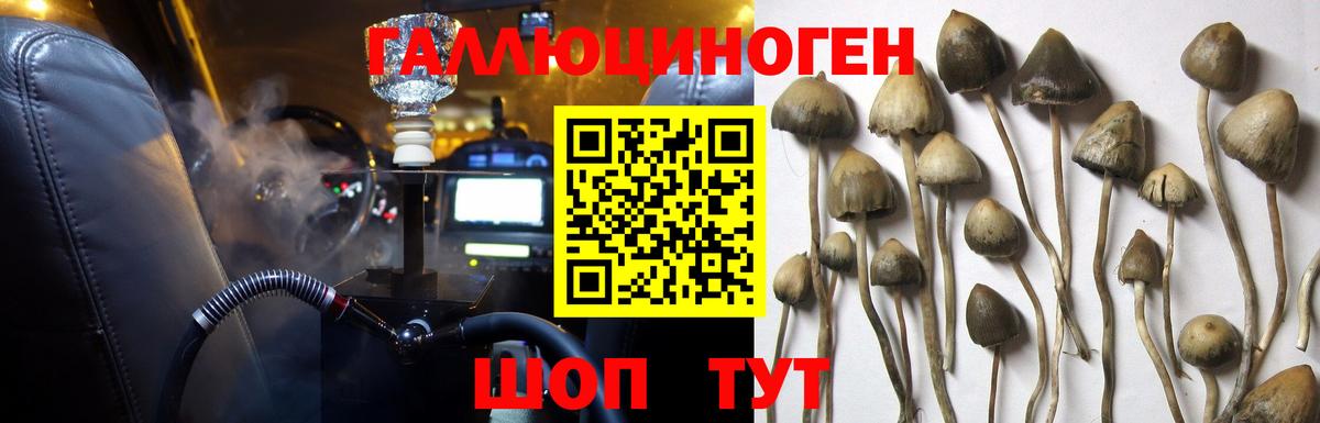 Галлюциногенные грибы мицелий Заринск